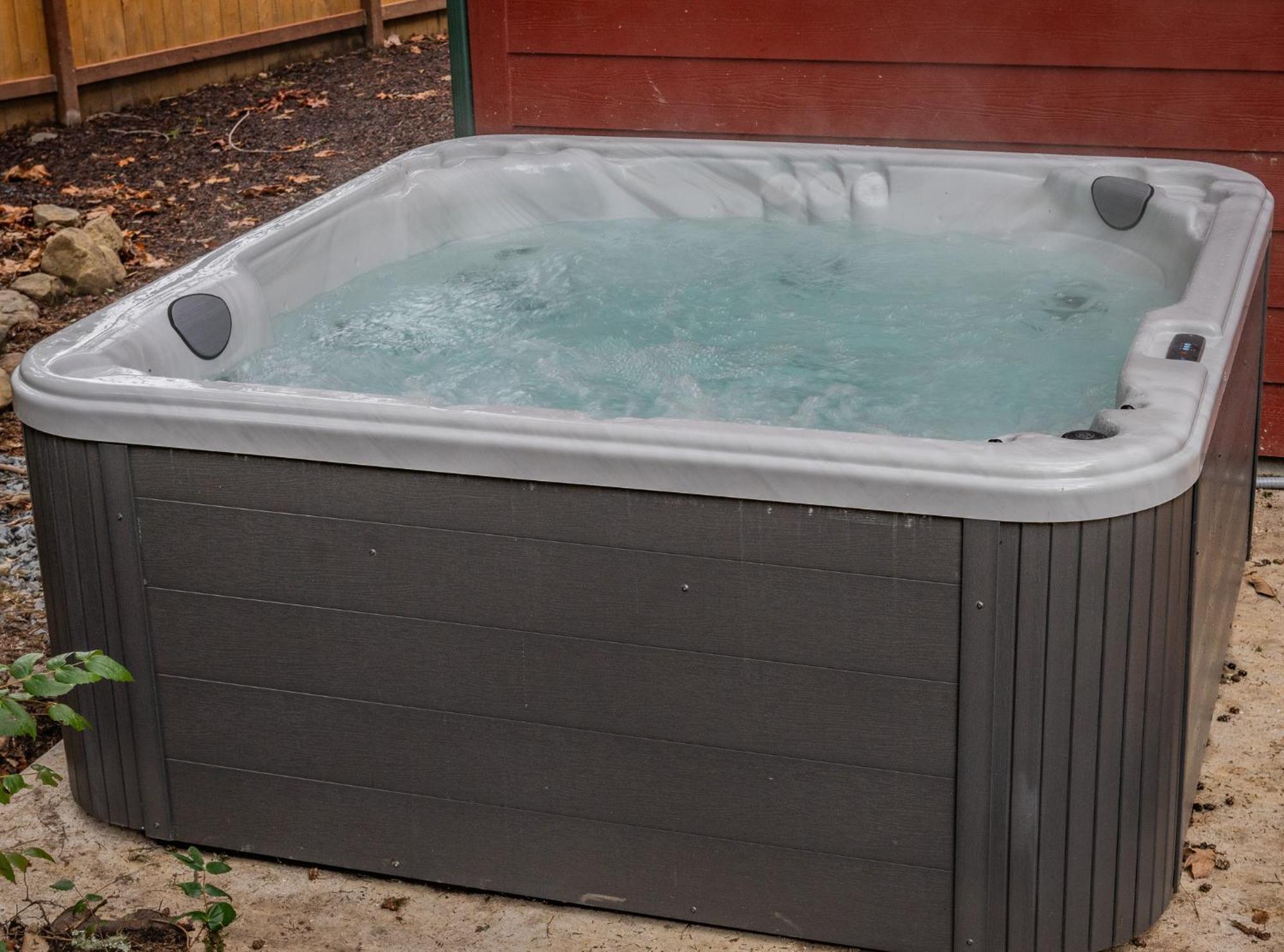 Mt. Rainier Cabin W/Hot Tub Ashford Ngoại thất bức ảnh